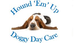 Hound 'Em' Up Doggy Day Care