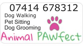 Animal PAWfect Services