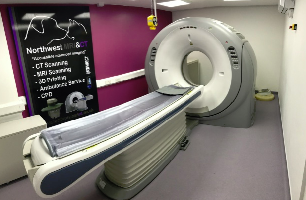 Pet CT Scanning