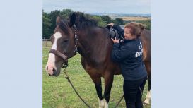 Equestrian Shop in UK : Dragonfly Saddlery Equestrian Shop in UK : Dragonfly Saddlery