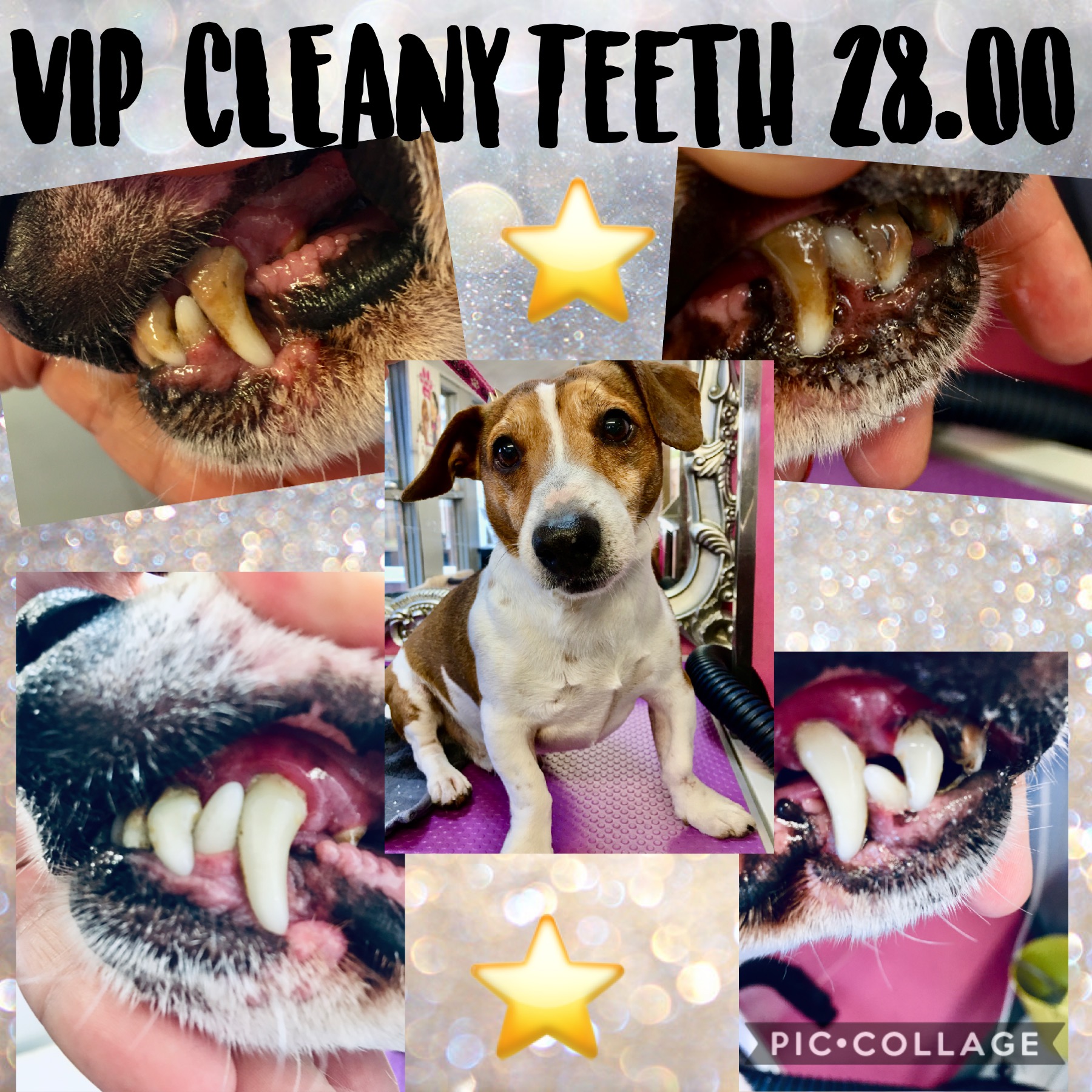 VIP Cleany teeth treatment