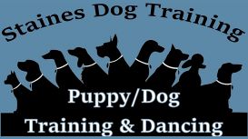 Surrey Dog Training