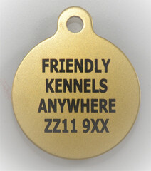 Holiday & Temporary Pet ID Tags