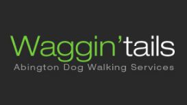 Abington Dog Walking