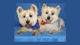 Bonny Dog Grooming