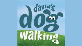 David's Dog Walking