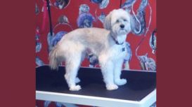 Diamond Dog Grooming