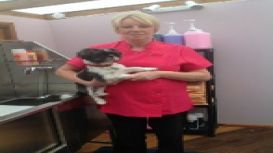 Diamond Dogs Grooming Parlour