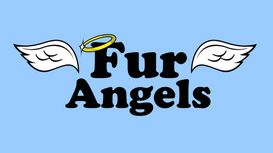 Fur Angels