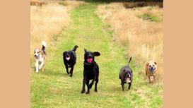 Happy Houndz Staffordshire