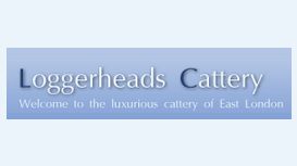 Loggerheads Boarding Cattery