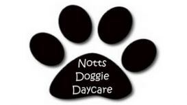 Notts Doggie Daycare