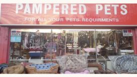 Pampered Pets