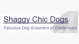 Shaggy Chic Dog Grooming
