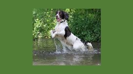 South Oxon Pet Services