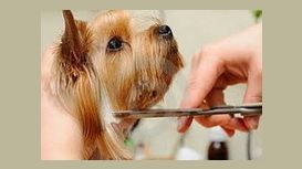 Top Notch Dog Grooming