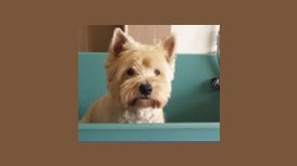 Wagtails Dog Grooming