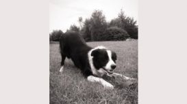 Wakefield Pet Care Wakefield Pet Care