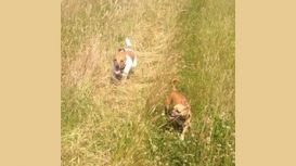 Wheelers Walkies Wheelers Walkies